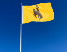 Load image into Gallery viewer, University of Wyoming - Cowboys 3x5 Flag
