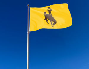 University of Wyoming - Cowboys 3x5 Flag