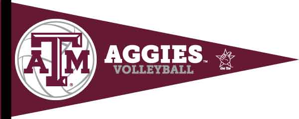 Maroon 12x30 inch Texas A&M Aggies Volleyball Pennant