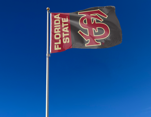 Florida State University - FS 3x5 Flag