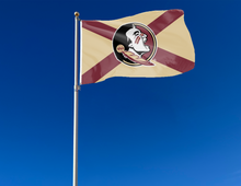 Load image into Gallery viewer, Florida State University - Flag of Florida Style 3x5 Flag
