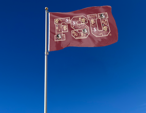 Florida State University - FSU 3x5 Flag