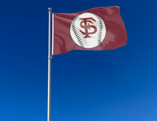 Load image into Gallery viewer, Florida State University - Seminoles Baseball 3x5 Flag
