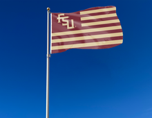 Load image into Gallery viewer, Florida State University - Seminoles National 3x5 Flag
