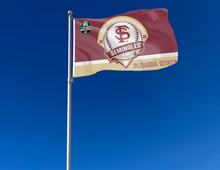 Load image into Gallery viewer, 3x5 Florida State Baseball College World Series 2024 Flag
