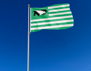 University of North Dakota - Fighting Hawks National 3x5 Flag