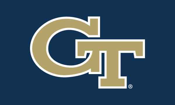 Georgia Tech - GT Buzz Black 3x5 Flag