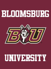 Load image into Gallery viewer, Bloomsburg University - Huskies BU House Flag
