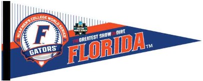 12x30 Florida Baseball College World Series 2024 Pennant