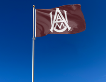 Load image into Gallery viewer, Maroon 3x5 foot Alabama A&amp;M University flag with School Logo and Two Metal Grommets attached to a flag pole waving in the wind
