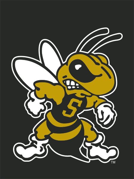 West Virginia State University - Stinger Mascot House Flag