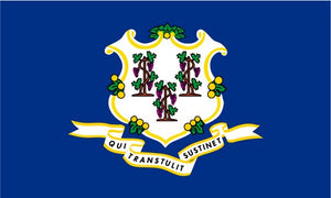 State of Connecticut 3x5 Flag