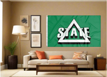 Load image into Gallery viewer, Green 3x5 foot wide Delta State University flag with school logo and two metal grommets covering the tan wall of a living room with couch and throw pillows
