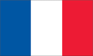 3x5 France Flag