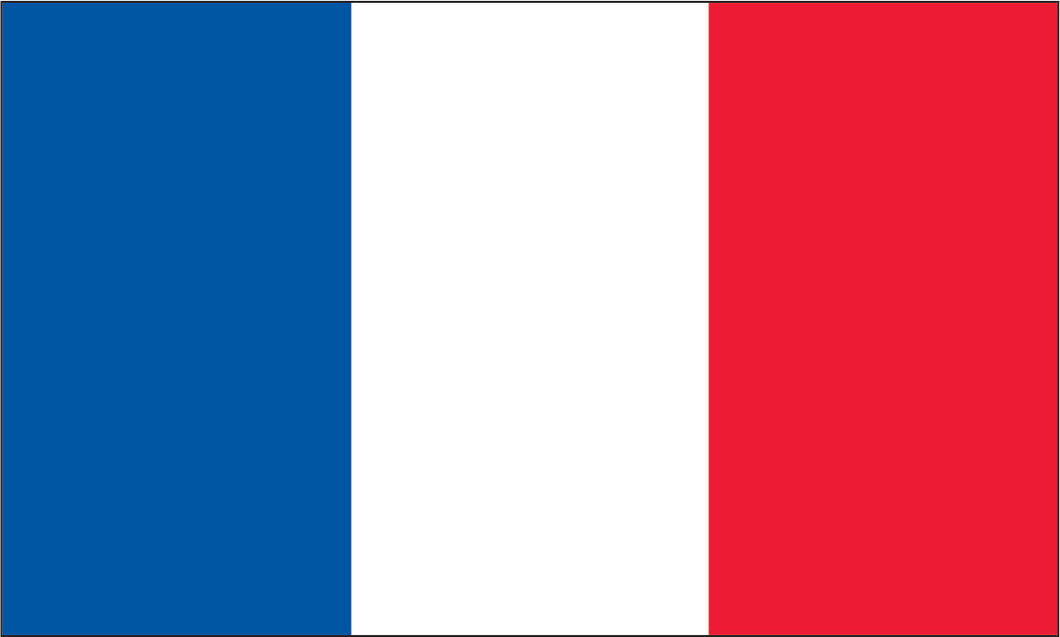 3x5 France Flag