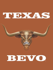 University of Texas - Bevo House Flag