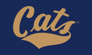 Montana State - CATS 3x5 Flag