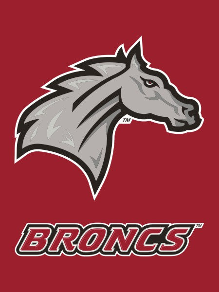 Rider University - Broncs House Flag