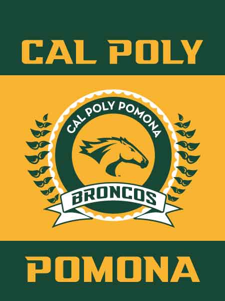 Cal Poly California State Polytechnic Pomona Broncos Vive La Fete Game —  Vive La Fête - Online Apparel Store